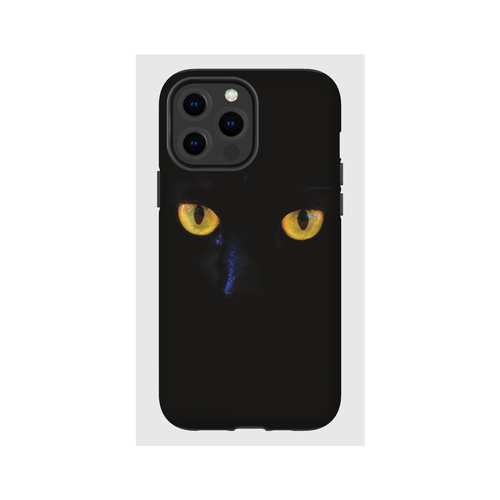 Hardcase - Cat