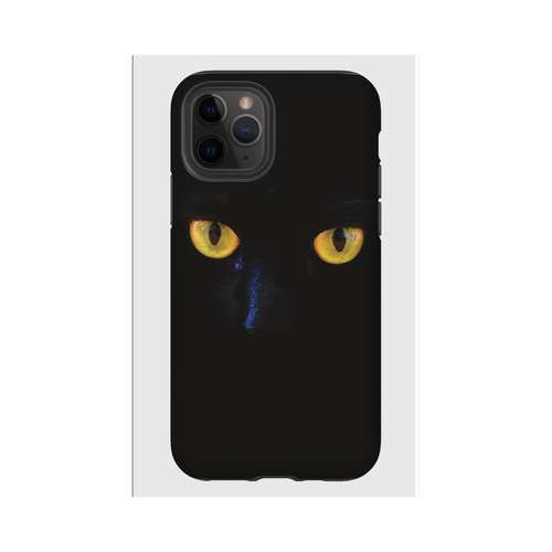 Hardcase - Cat