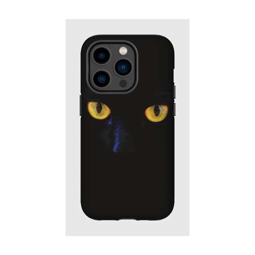 Hardcase - Cat