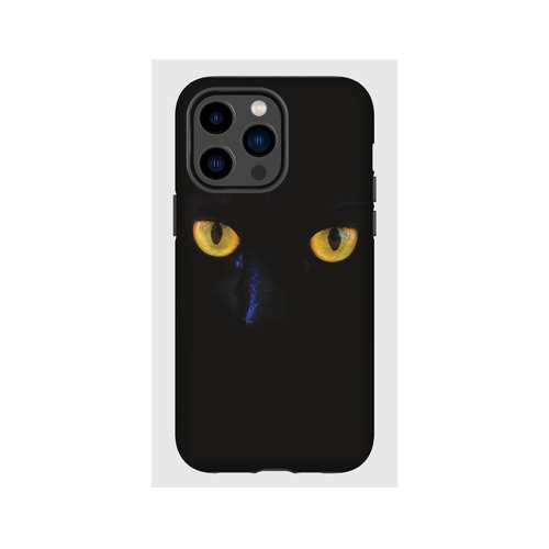 Hardcase - Cat