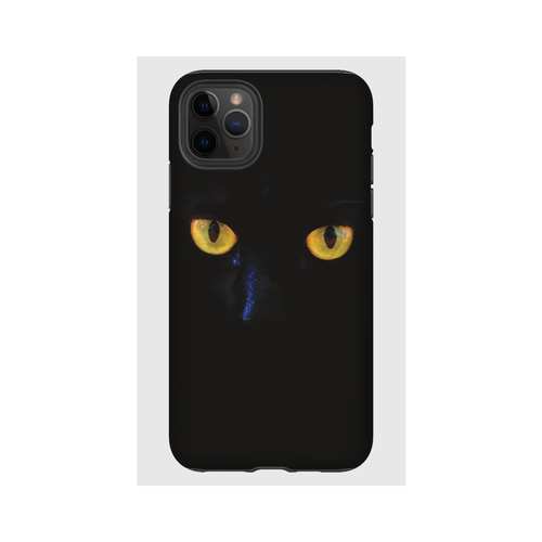 Hardcase - Cat