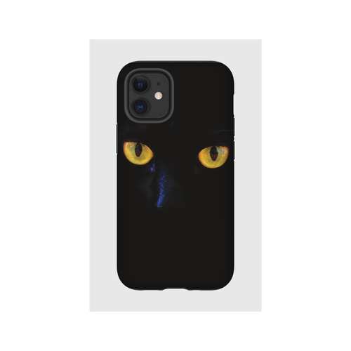 Hardcase - Cat