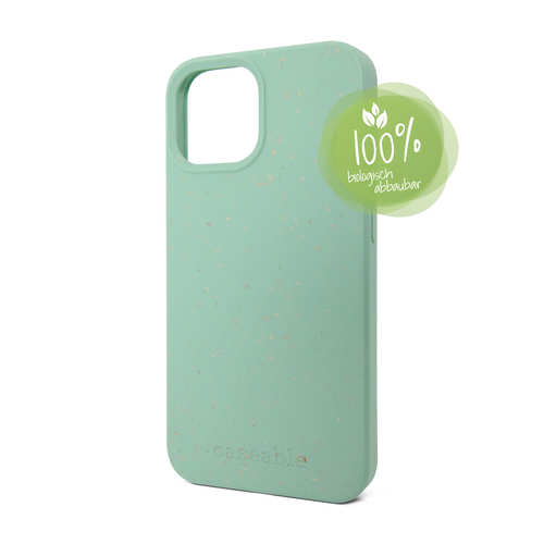 Eco-Friendly Case light green