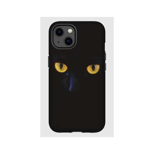 Hardcase - Cat