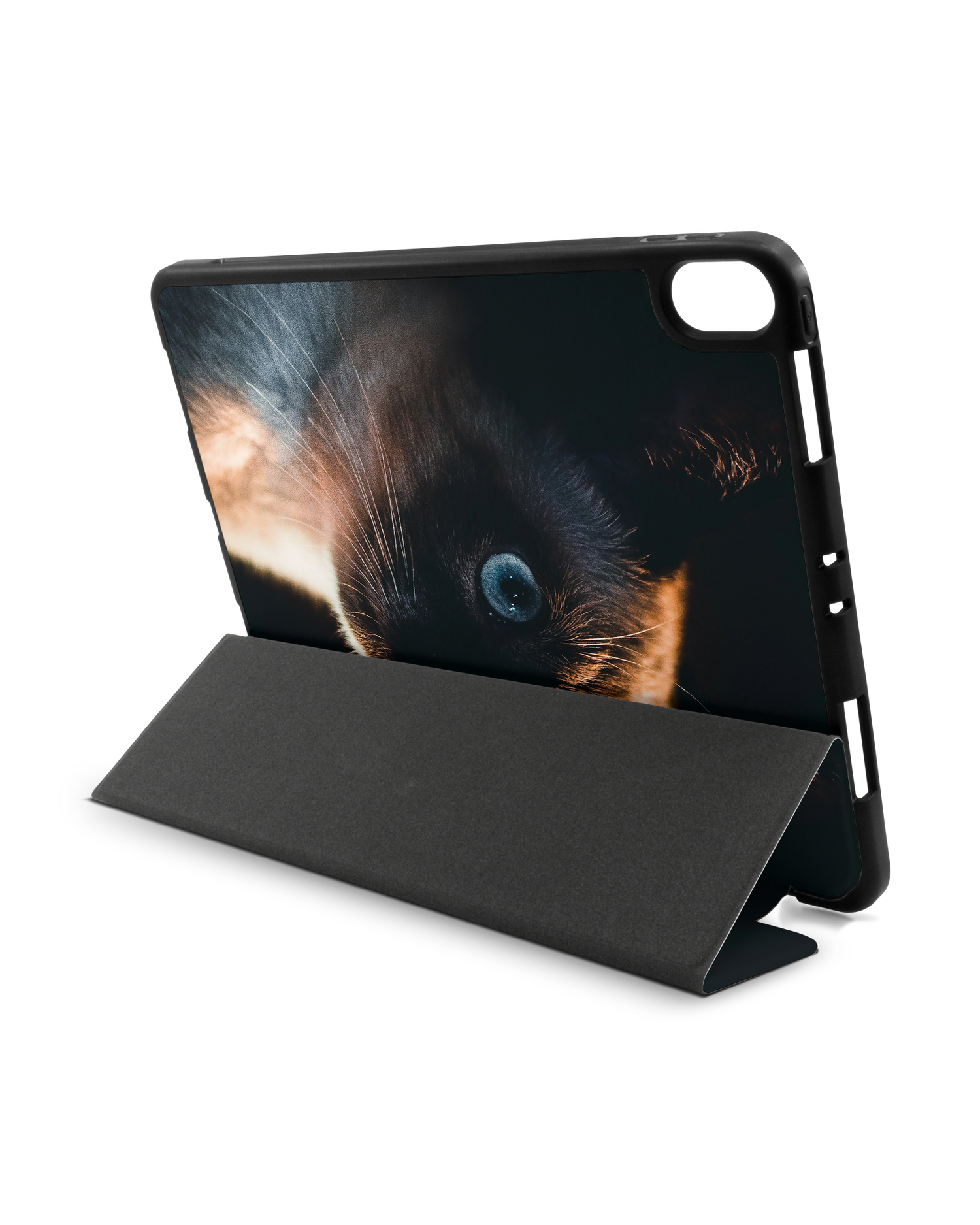 Siamese Cat iPad Hülle mit Stifthalter Apple iPad Pro 11'' (2018): Aufgestellt im Querformat von hinten