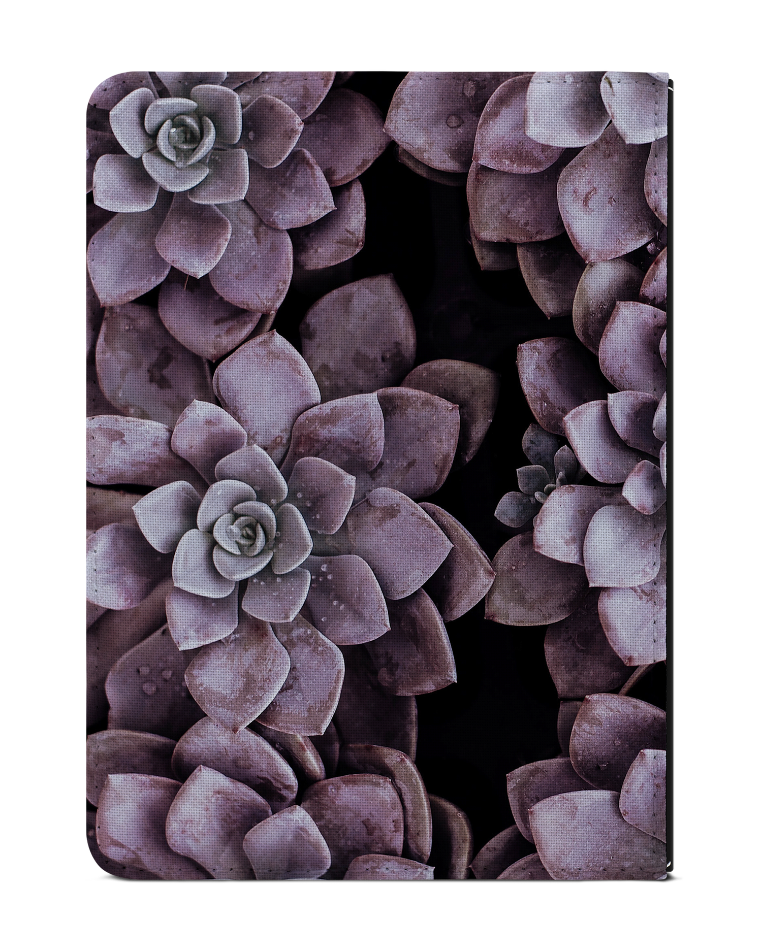 Purple Succulents eBook Reader Hülle für tolino vision 1 bis 4 HD: Rückseite