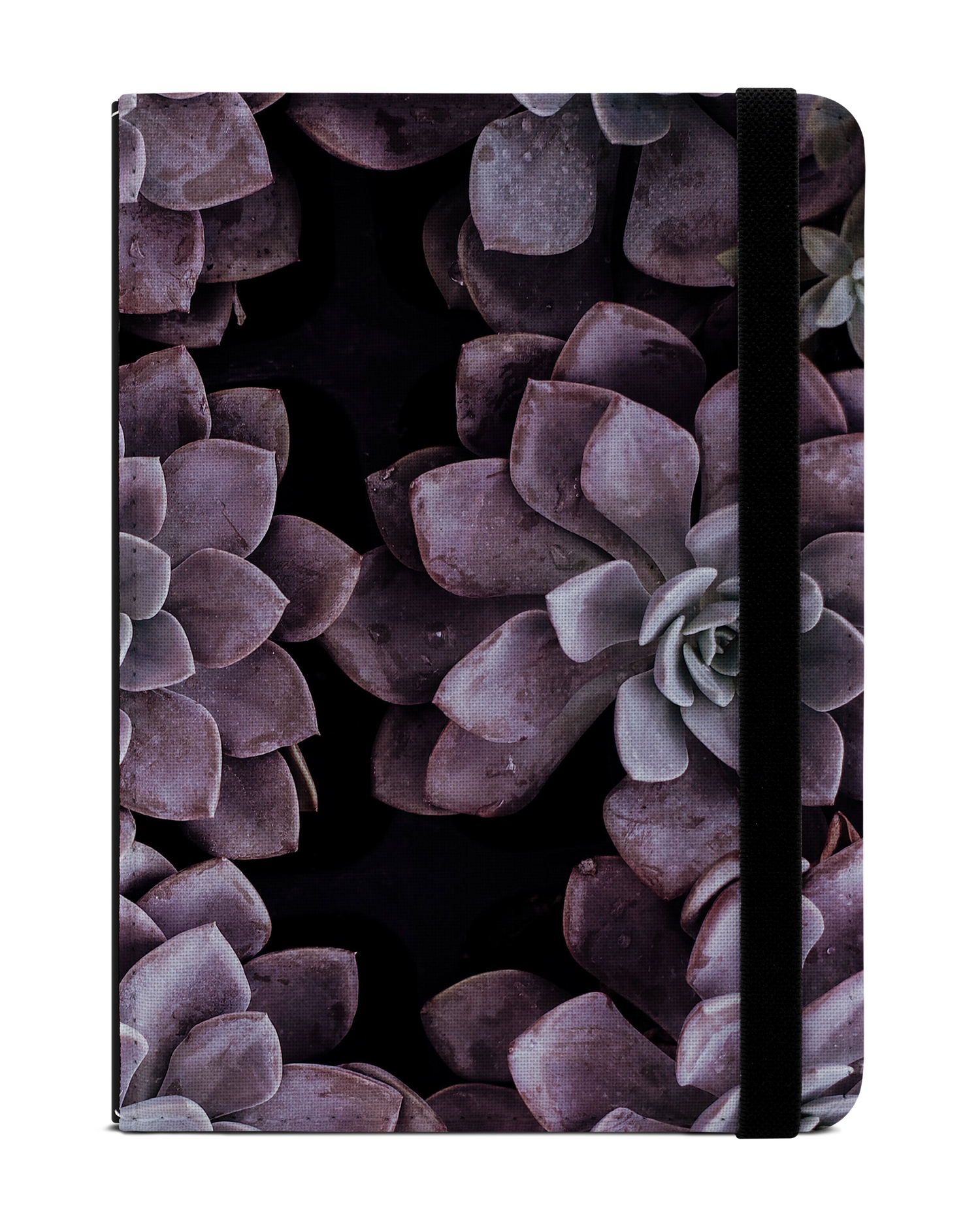 Purple Succulents eBook Reader Hülle für tolino vision 1 bis 4 HD: Frontansicht