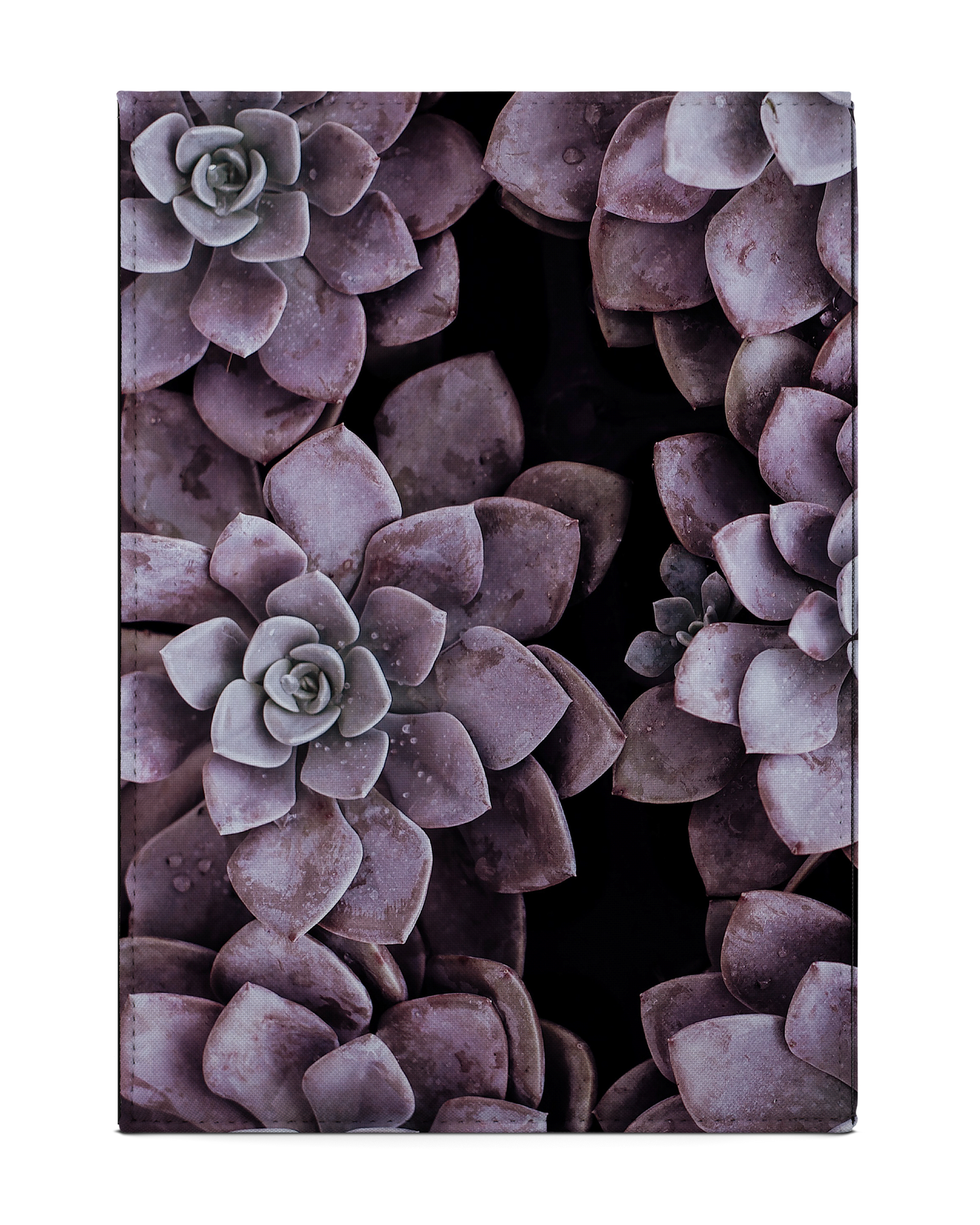 Purple Succulents Tablet Hülle M: Rückseite