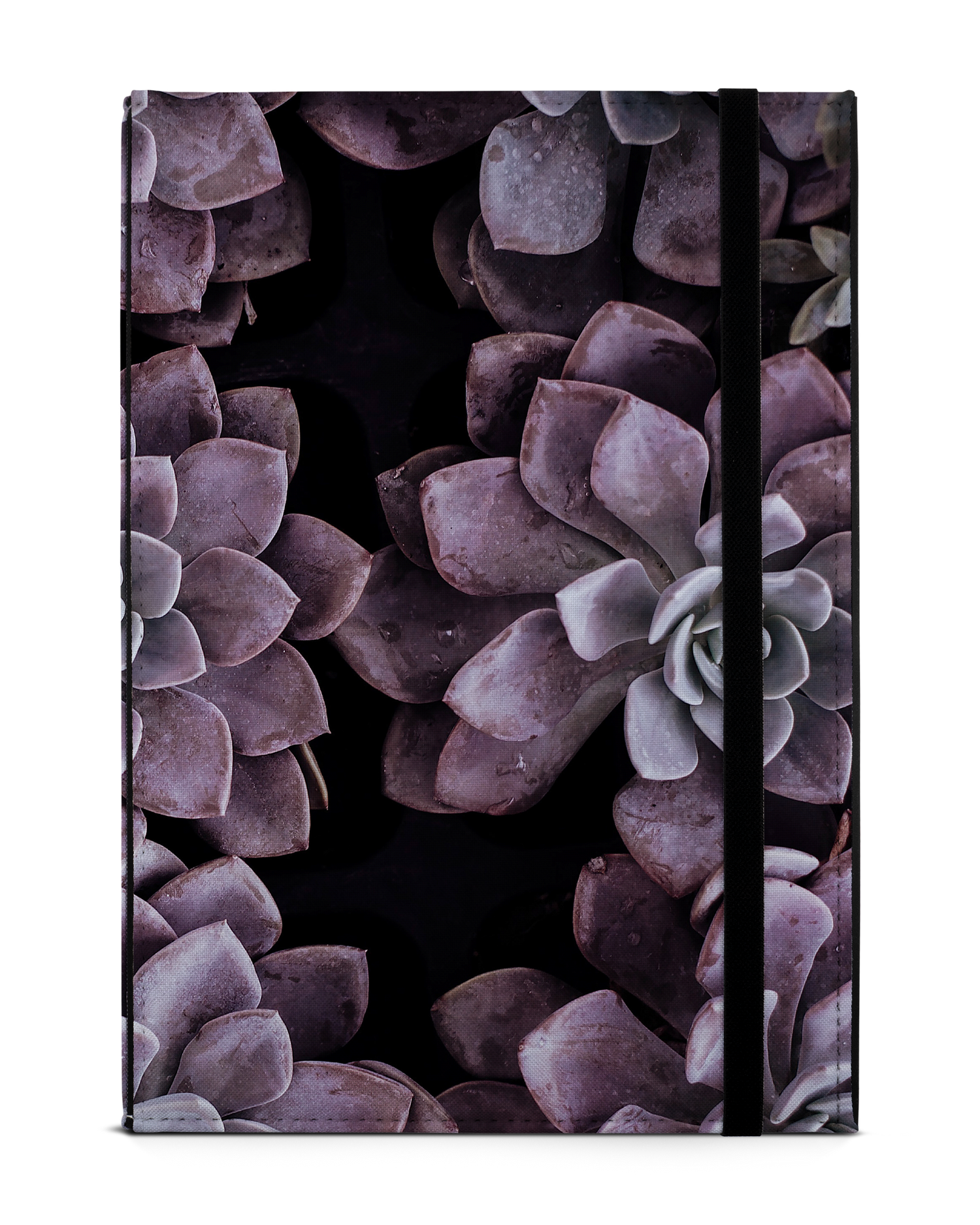Purple Succulents Tablet Hülle M: Frontansicht