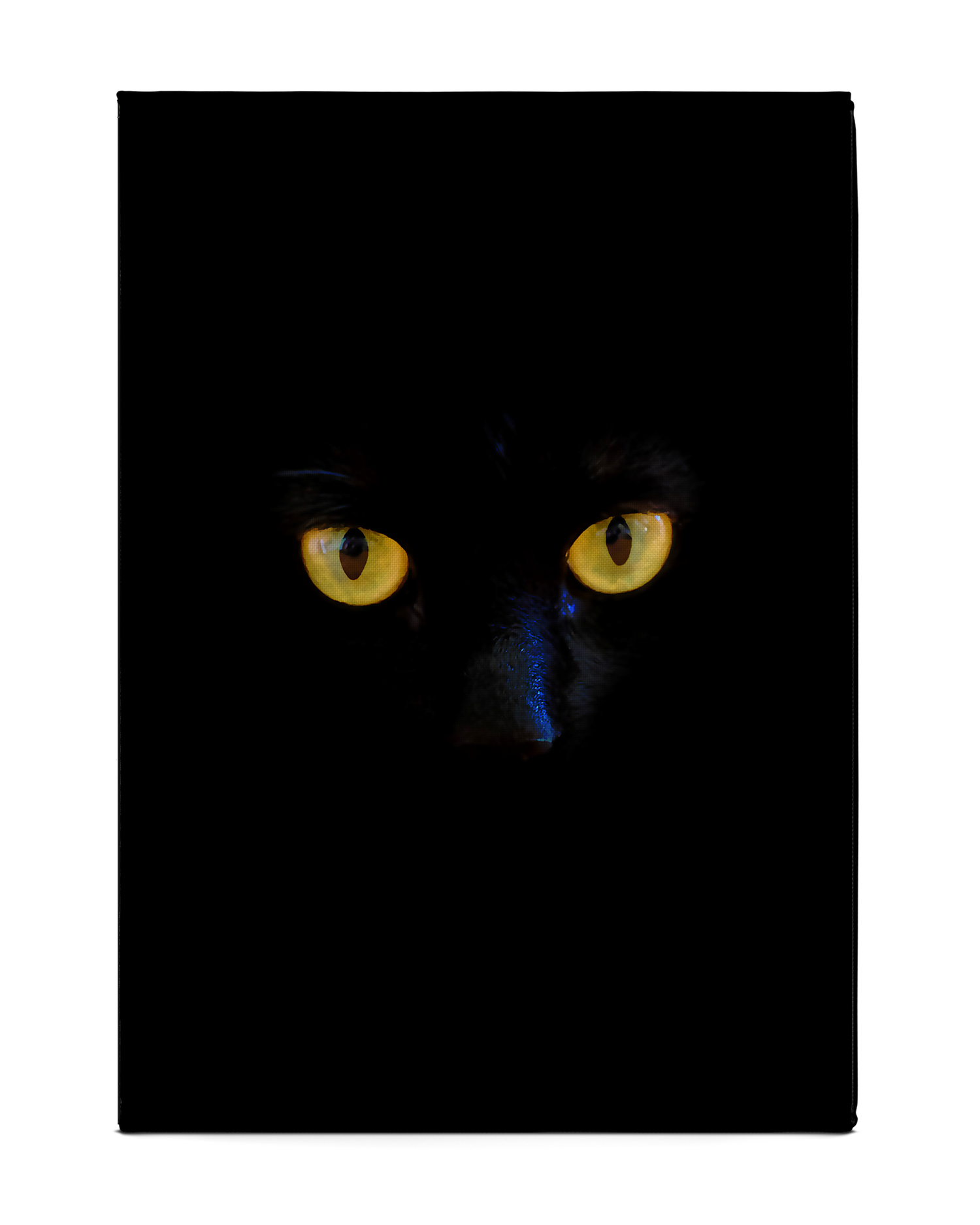Black Cat Tablet Hülle M: Rückseite