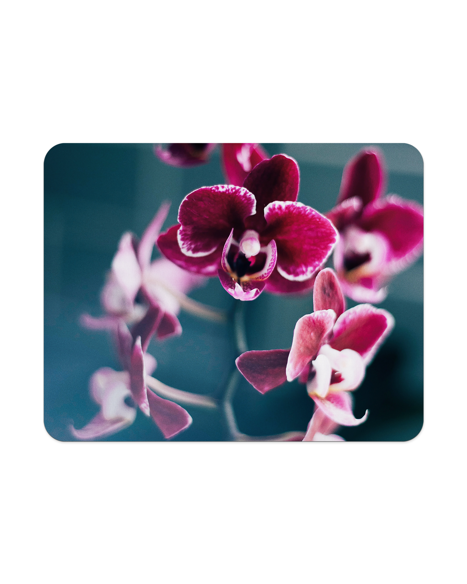 Orchid Mauspad von oben