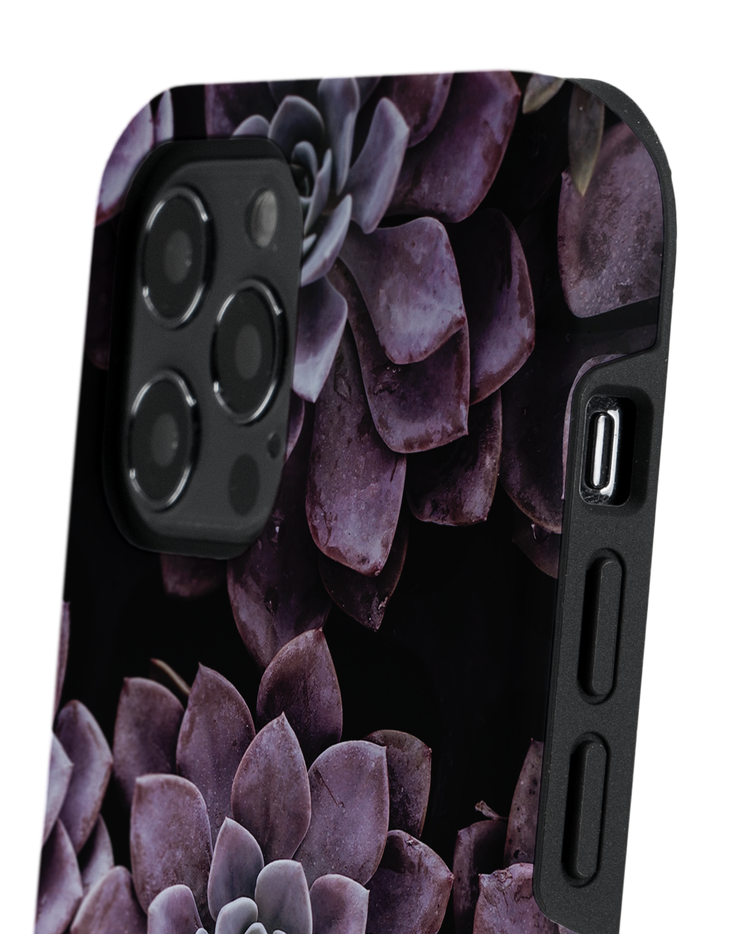 Purple Succulents Premium Handyhülle Apple iPhone 12 Pro Max