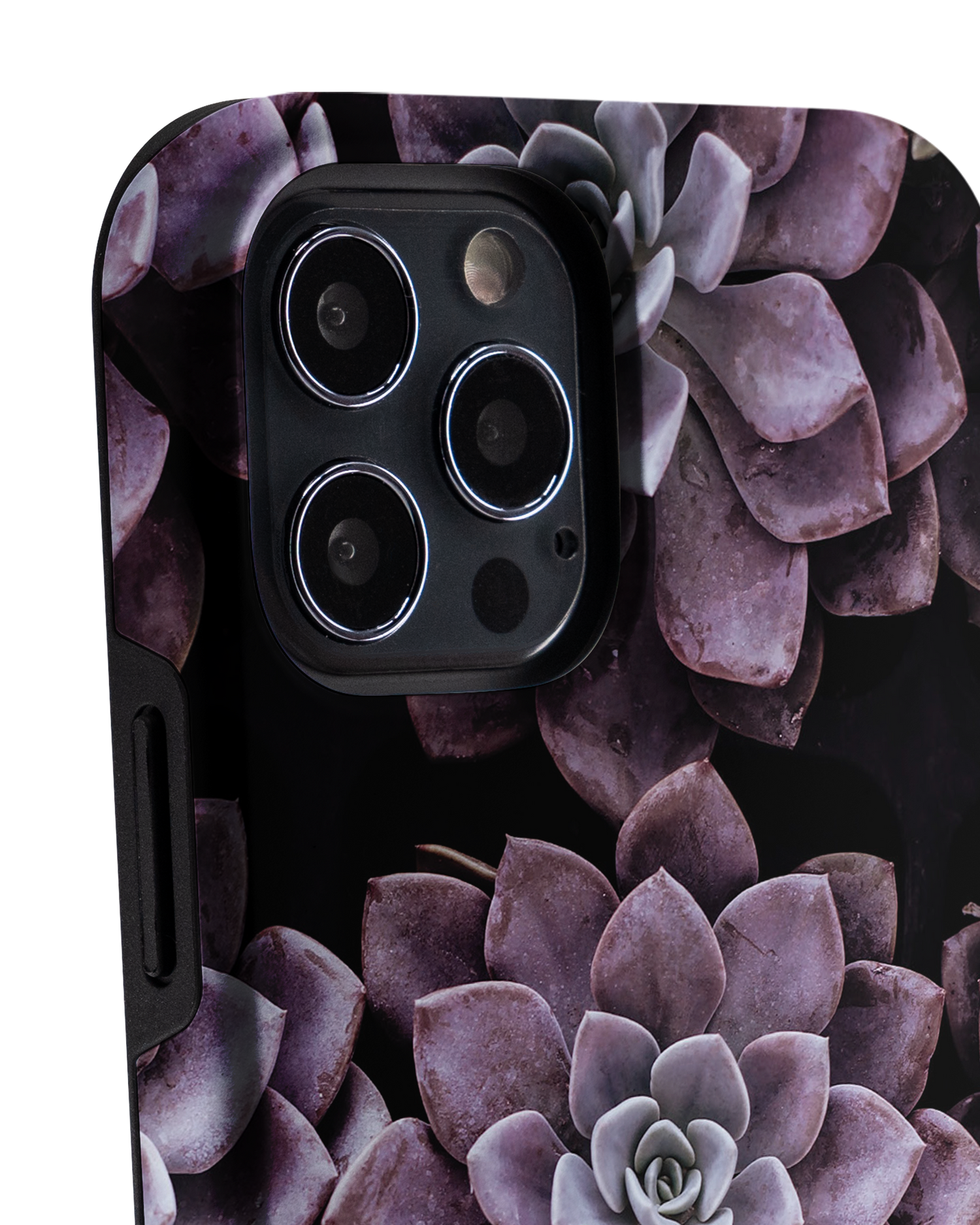 Purple Succulents Premium Handyhülle Apple iPhone 12 Pro Max